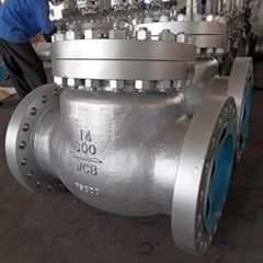 Swing Check Valve